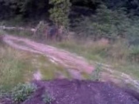 Nos Délirs en dirT ^^ part 1