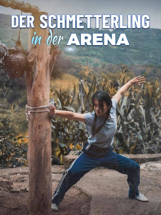 Der Schmetterling in der Arena