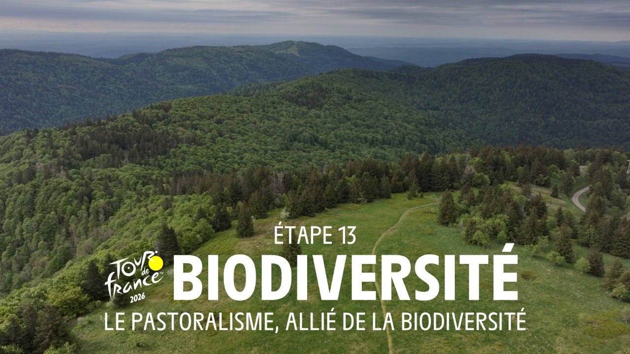 Le pastoralisme allié de la biodiversité - Tour de France 2026