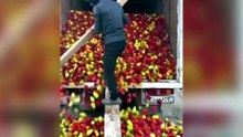 Smart Workers
