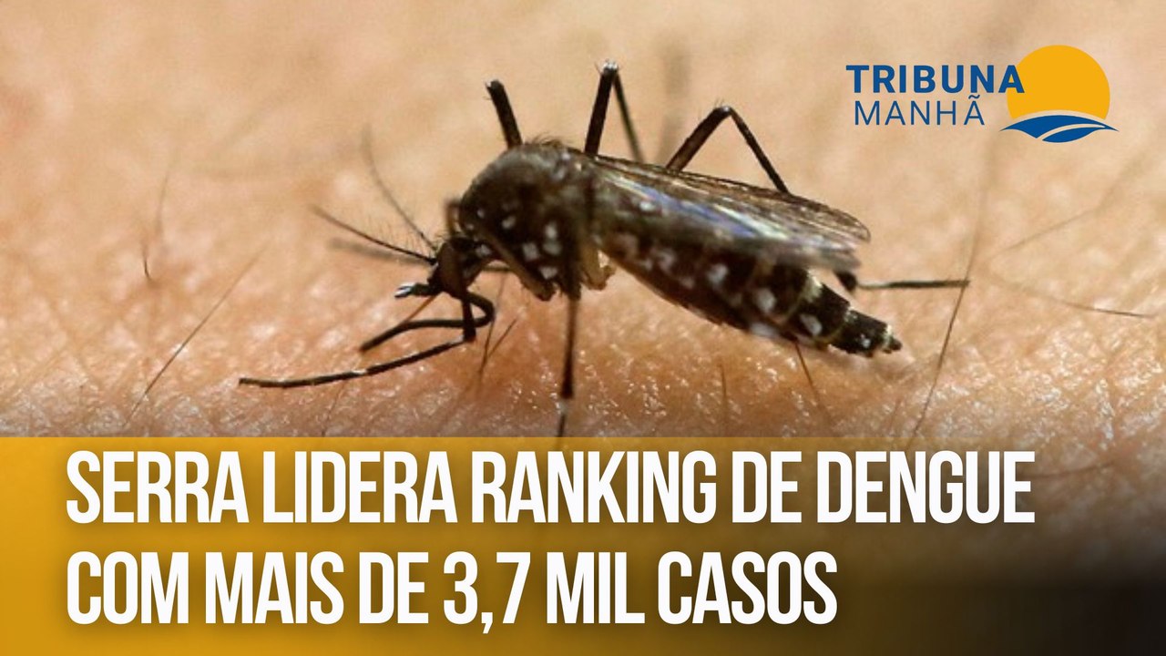 Com mais de 3,7 mil casos, Serra lidera ranking de dengue e investiga mortes de jovens