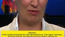 ALICE WEIDEL -  ANGST VOR HÖCKE