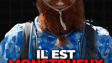 16 000 km à pied !
