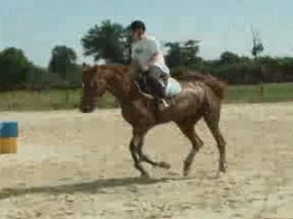 ma jument et moi"mise en place"au trot et au galop
