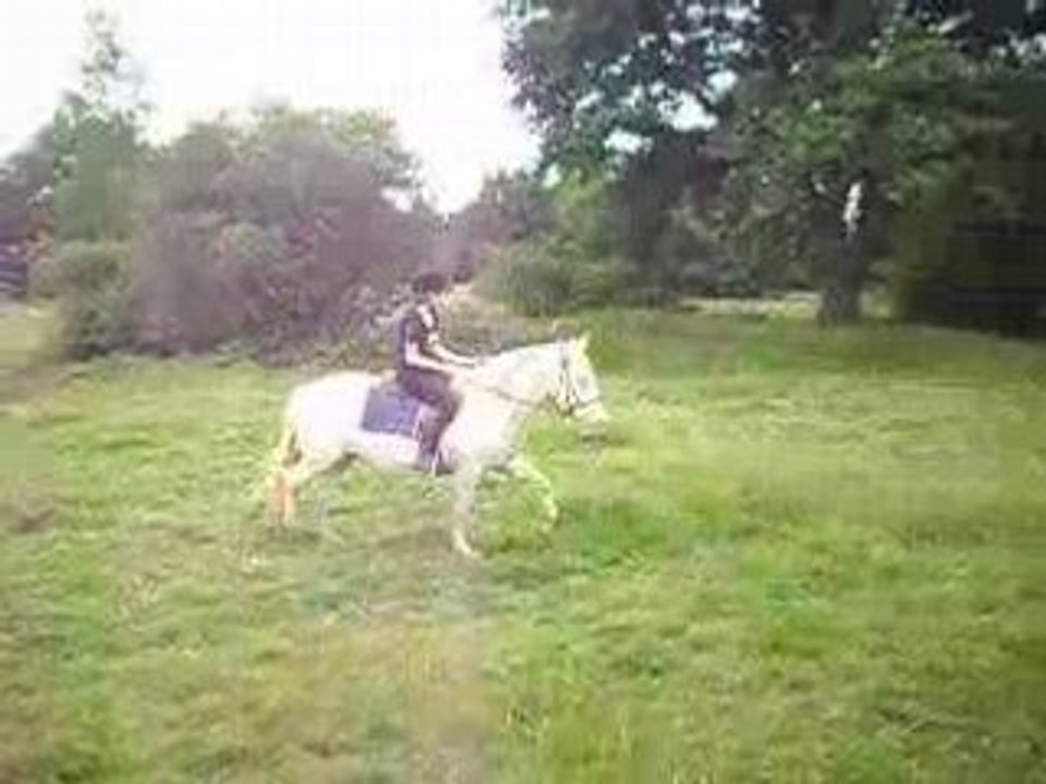 Week-end CHEVAL...
