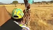 UNBELIEVABLE Rare Animal Moments Caught on Camera! 😱📸 Nature's Most WILD Encounters