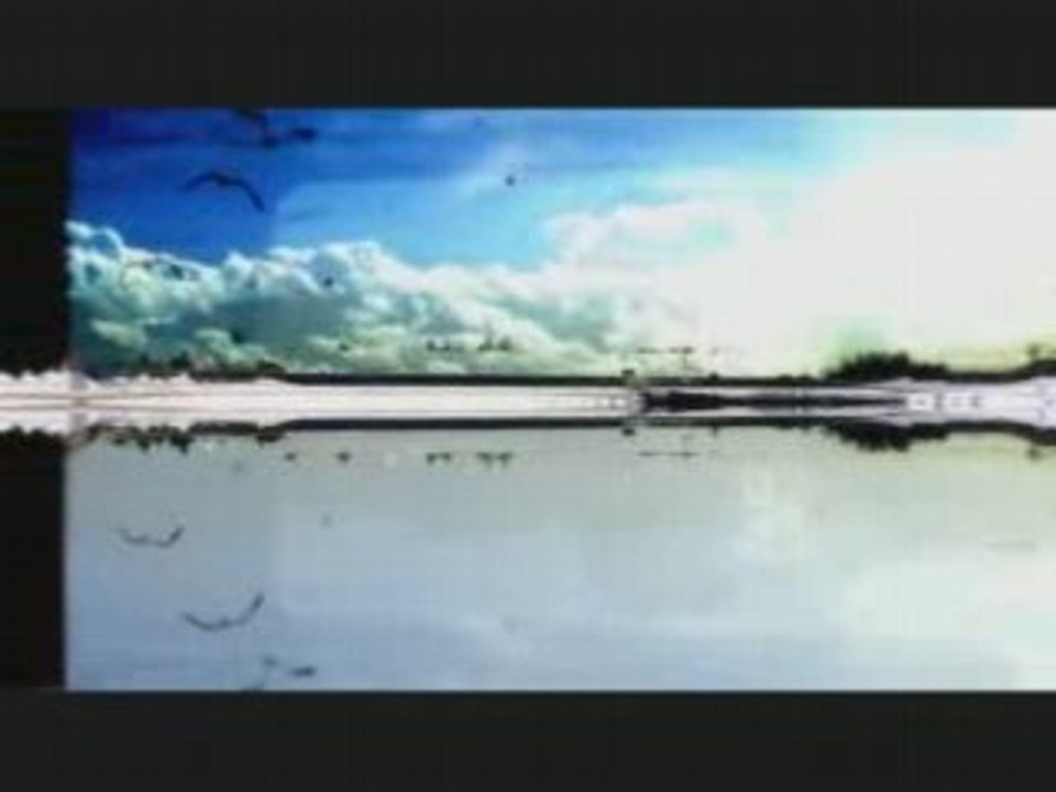 Montage Snkins_0001
