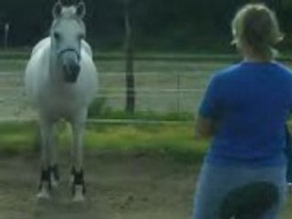 Dadou en liberté et moi