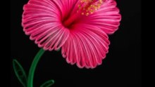 Pink Hibiscus Quilling Flower 4K UHD Wallpaper • Vibrant Paper Art Amoled Black Screen • 5 Min Moving Video