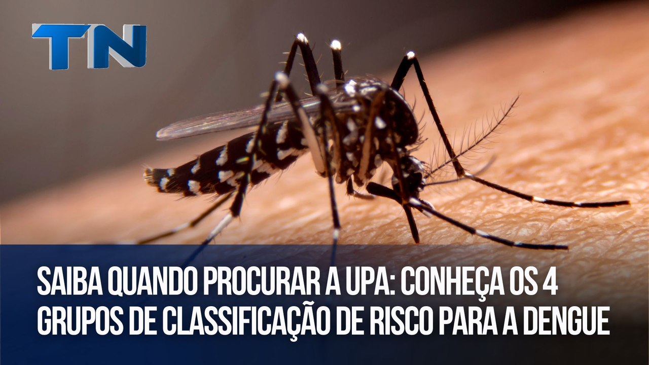 Saiba quando procurar a UPA: conheça os 4 grupos de classificação de risco para a dengue