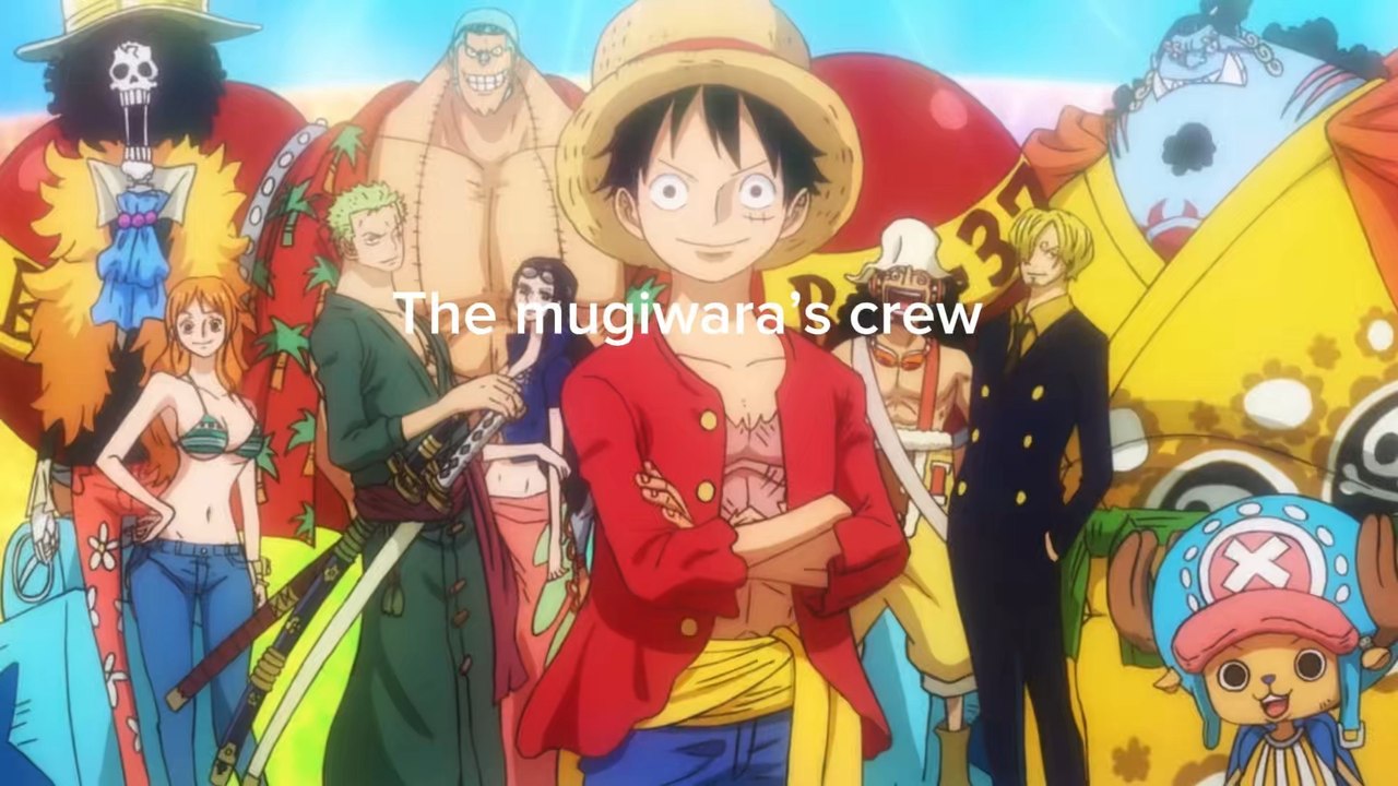 Mugiwara’s crew🥲
