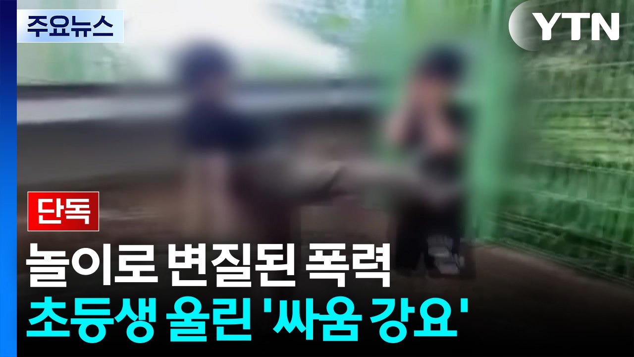 [단독] 학교가 '격투판' 됐다...초등생 울린 '싸움 강요' / YTN