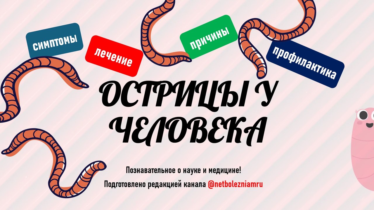 Острицы: как происходит заражение, чем опасны и как защитить всю семью?