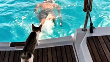 He Said "Hold the Boat Down for Me"… and the Kitten Took It Seriously ❤️🐱