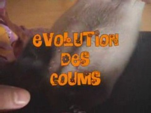 Evolution des furetons