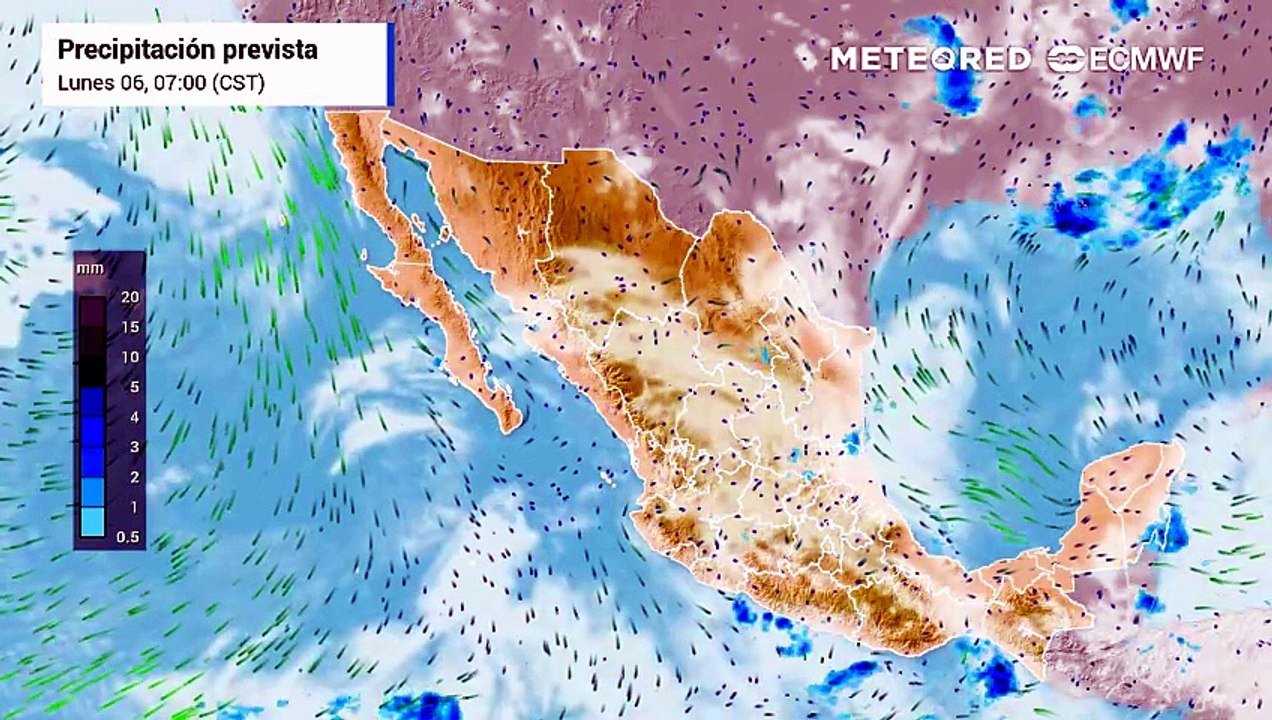 Pronóstico agrometeorológico del 6 al 12 de julio para México: lluvias extremas llegan al campo con riesgo para maíz, café y leche
