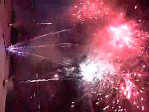 finale TOP14 asm vs stade toulousain 2008