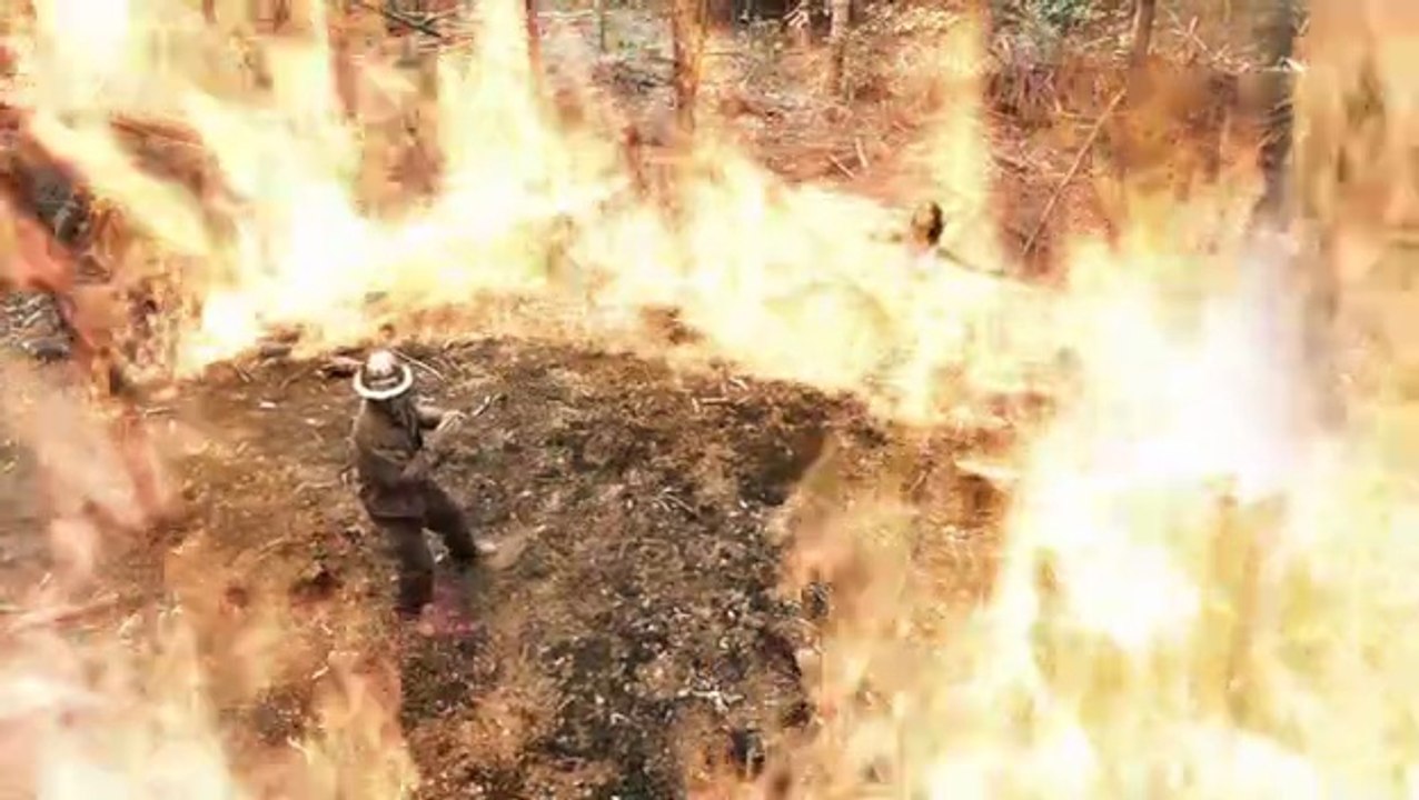 Fire Serpent (2010)