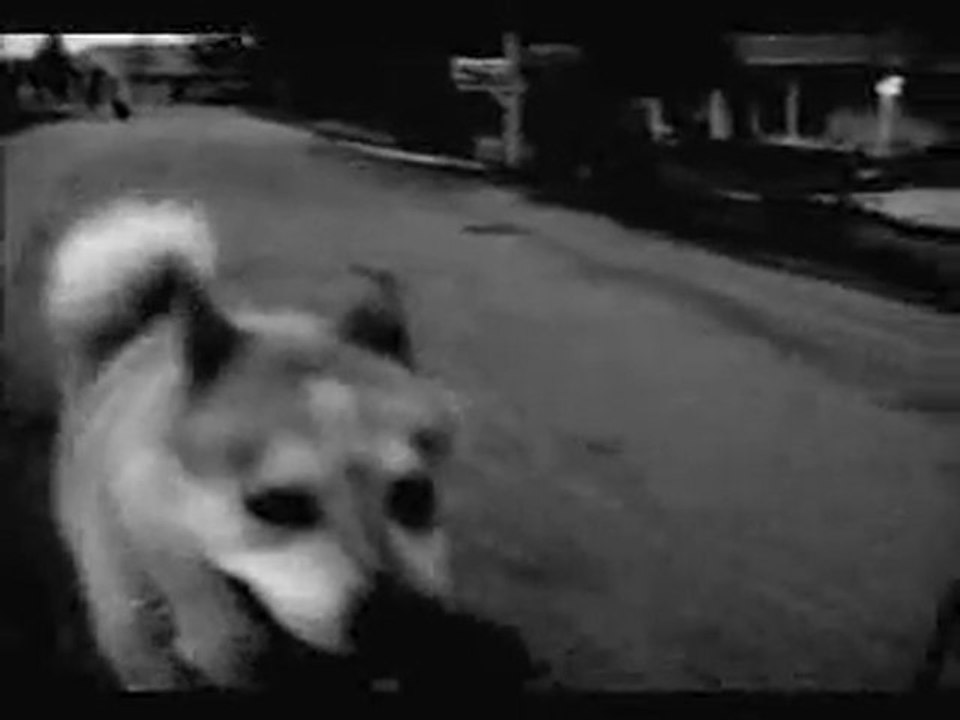 Where Is My Mind by the Pixies