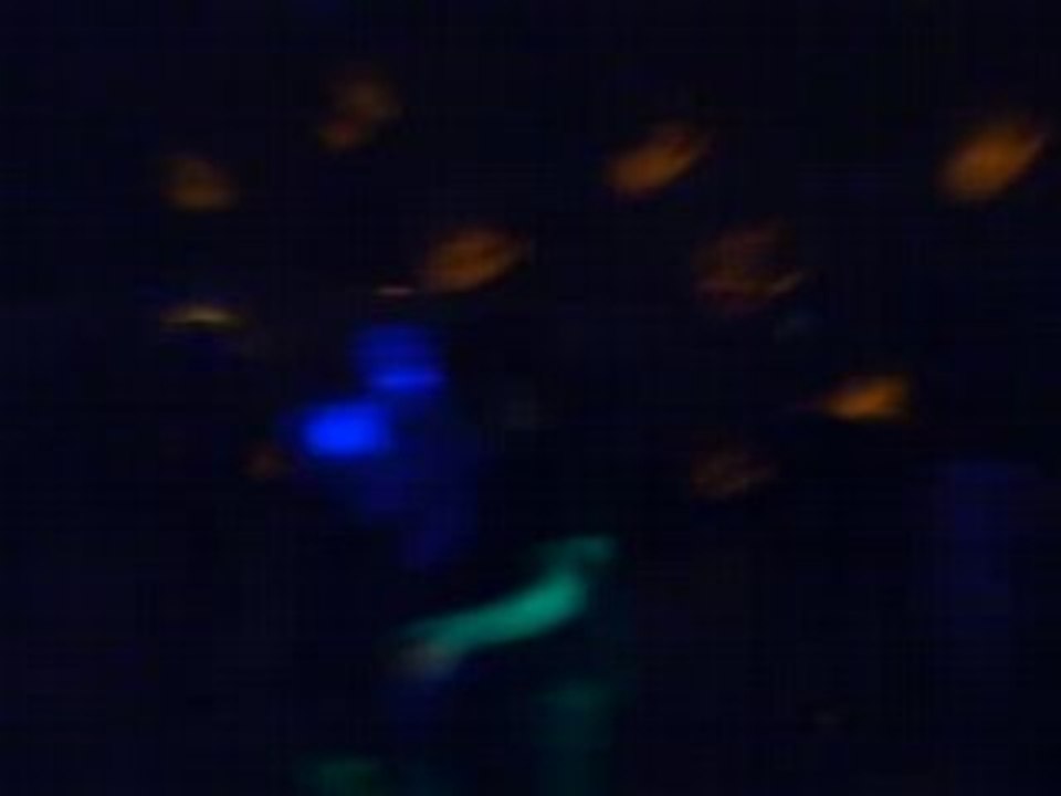 SOIREE RYV@L HAISNES 28 JUIN 2008