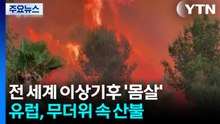 유럽, 무더위 속 곳곳 산불...아르헨티나 이례적 강추위 [앵러리포트] / YTN