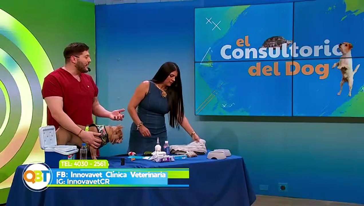 Veterinaria - Lunes 06 julio 2026 [Full Movie]