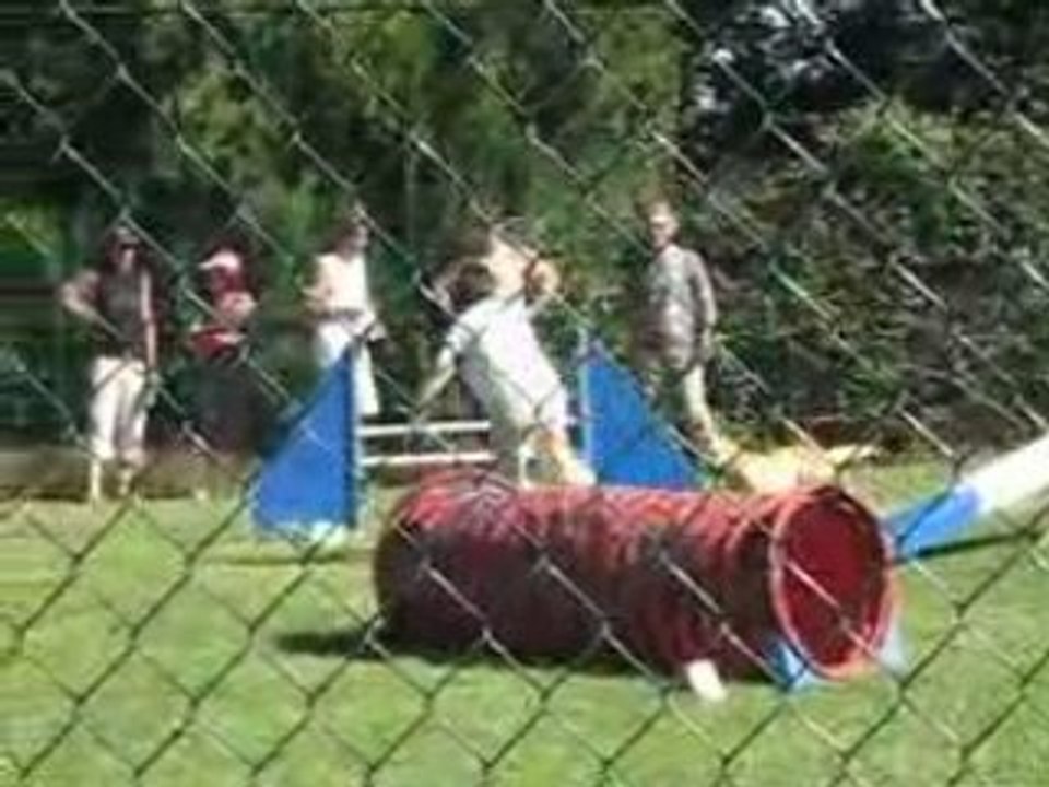 Arlette concours Aussonne 2008