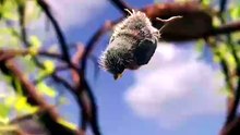 3D FACTS REELS BY ROHIT 3