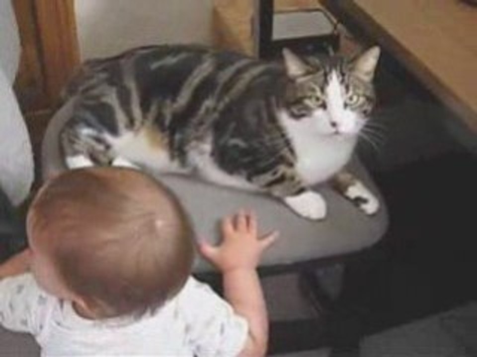 Ellia et Lola - Chat ba da