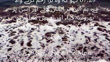 "Say: He is the Most Merciful. We believe in Him, and upon Him we place our trust. True peace begins with faith and complete reliance on Allah. 🤍" — Surah Al-Mulk 67:29 #Quran #Islam #TrustInAllah #SurahMulk #FaithInAllah