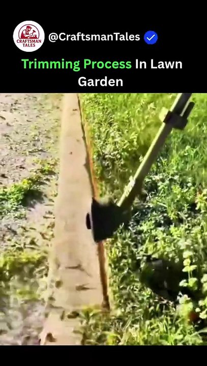 Trimming Process In Lawn Garden