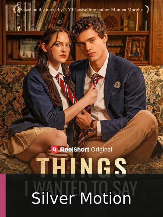 Things I Wanted to Say Silver Motion