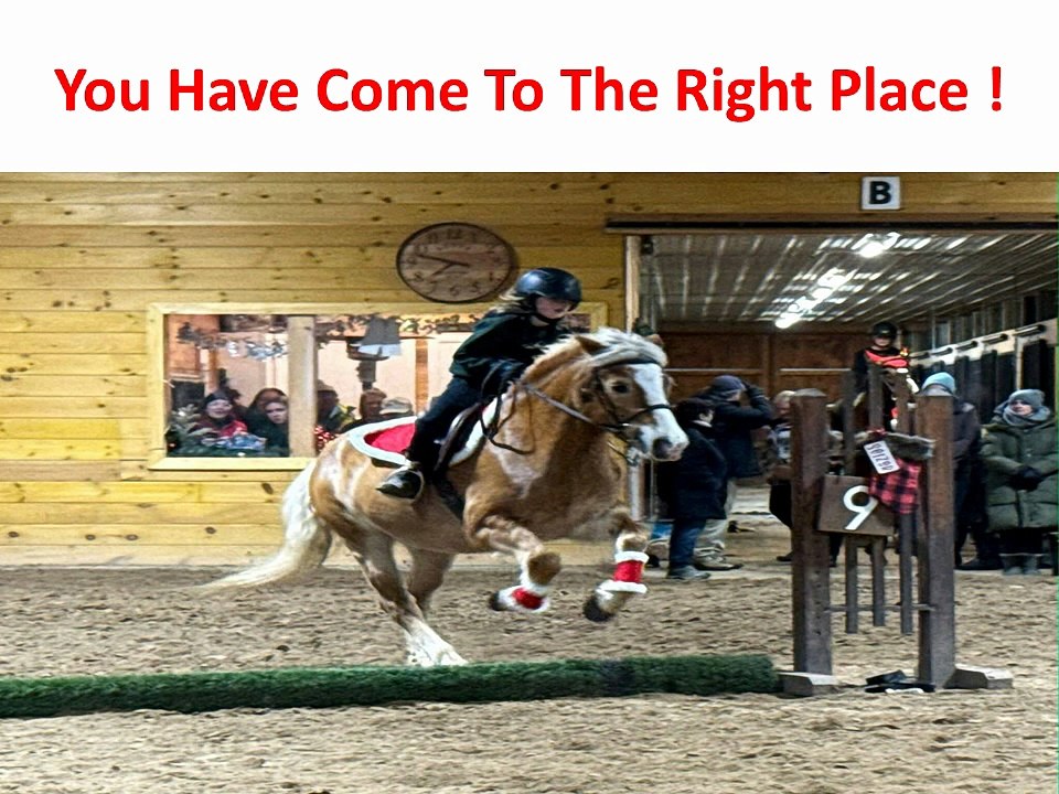 Precision Equine Solutions : Chondroitin Sulfate For Horses