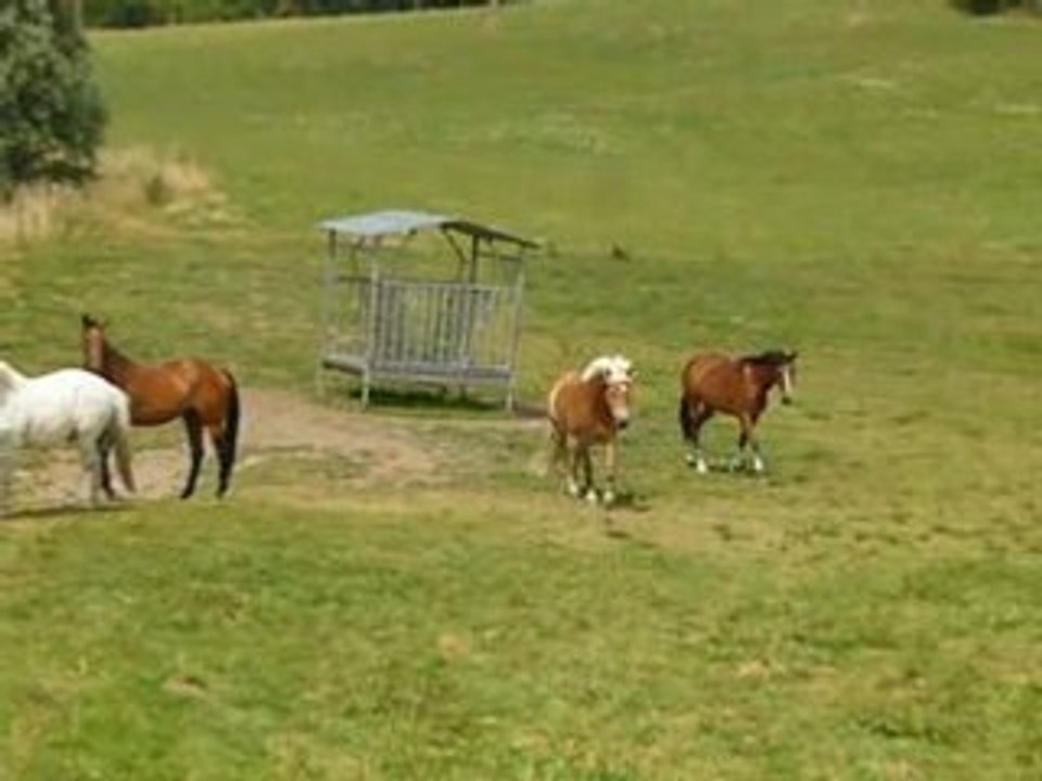 changement de pré