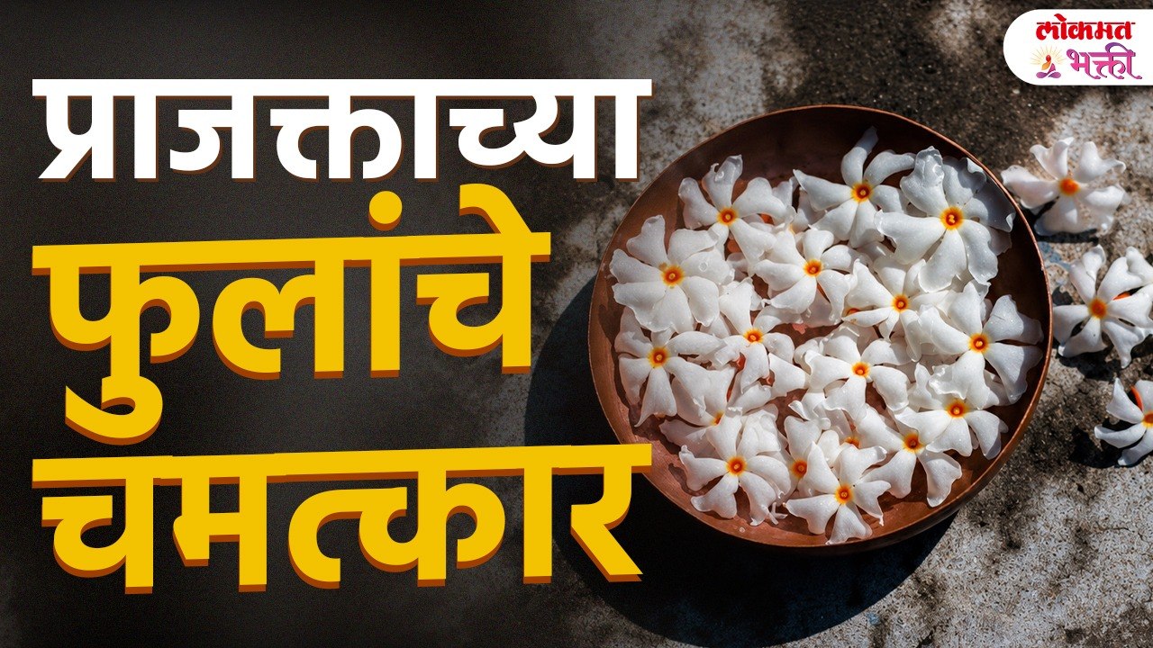 Parijat Flower Miracle | प्राजक्ताचे झाड असेल तर काय घडते? | Parijat Flower | Hindu Tradition