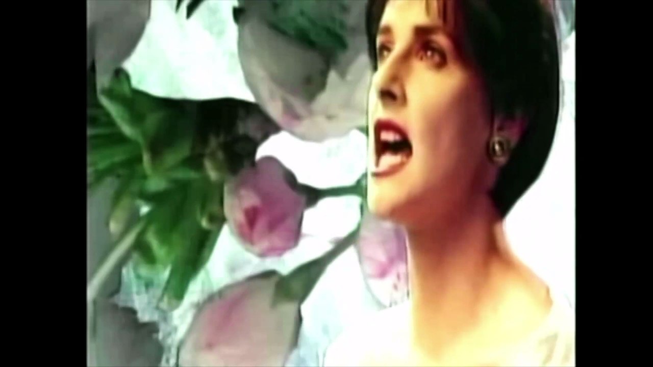 29.enya