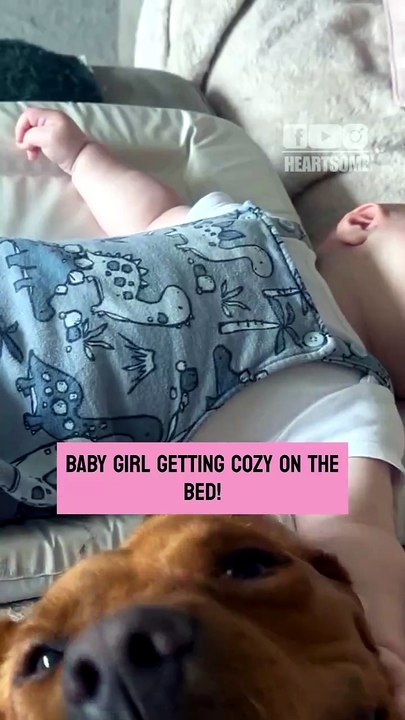 The baby girl bursts with excitement when one playful dog sneezes beside her