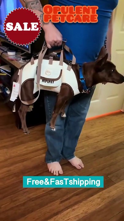 Pet Dog Small Dog Cat Portable Crossbody Carrier Bag – Safe, Comfortable & Convenient Travel Handbag (HIPIPET)