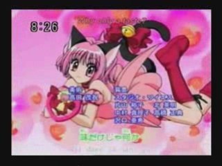 That's what you get Tokyo Mew Mew