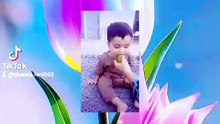 Meri jan