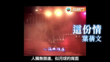 這份情 (葉蒨文)  +  かもめ 鴎 (五輪真弓)