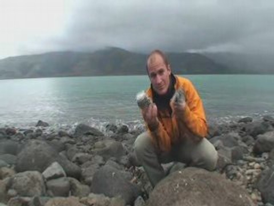 Arian en NZ 8