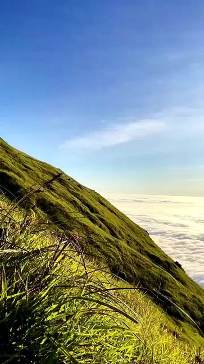 Negeri di Atas Awan, Beginilah Pesona Gunung Argopuro