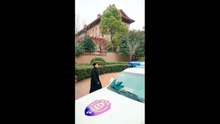 新剧上线# 神级殡葬师：御姐老婆超宠我 (下)