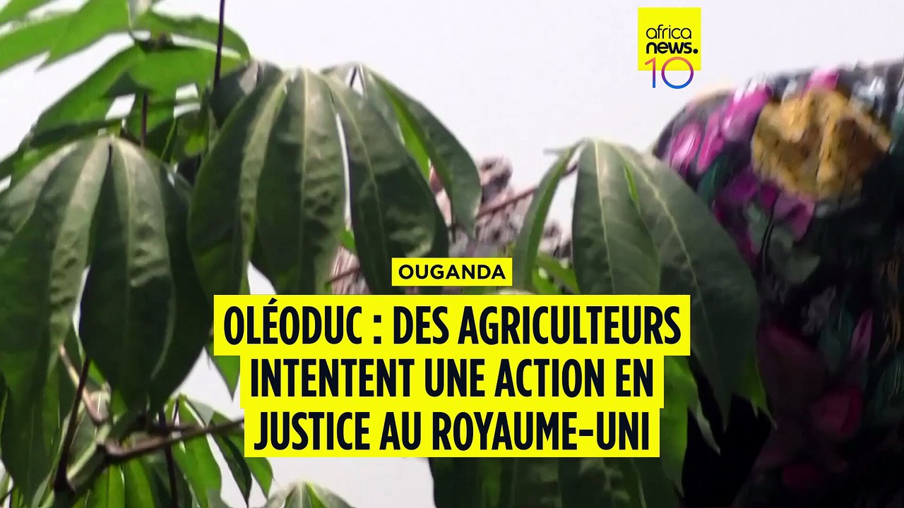 Royaume-Uni : des agriculteurs ougandais intentent un procès contre TotalEnergies
