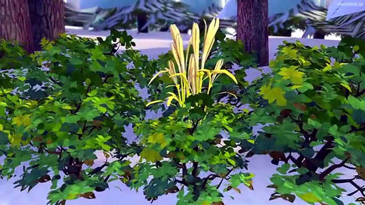 Boonie Bears Snow Daze S05 E08
