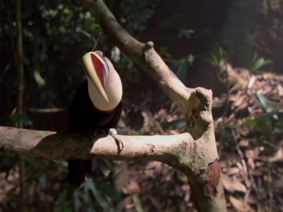Earth Song (4k Subtitles) - Michael Jackson