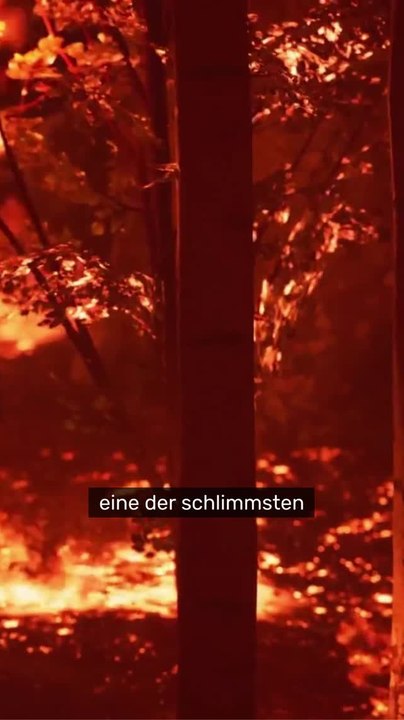 No Glomex Feuer-Inferno in Südeuropa: Waldbrände außer Kontrolle – Zehntausende fliehen vor den Flammen