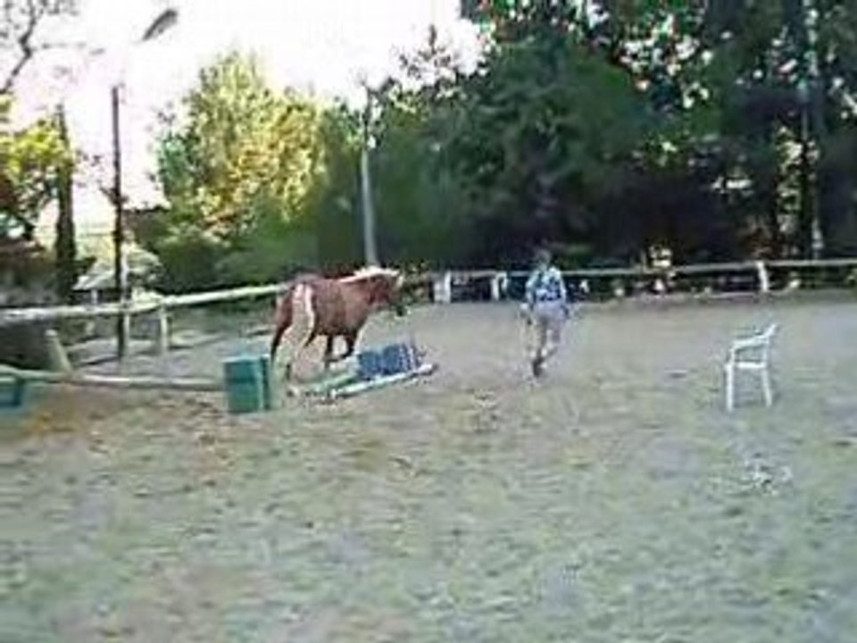 29 06 08 028