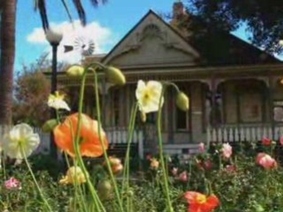 L'amitié[1]...POUR VOUS MES AMIS DE DAILY